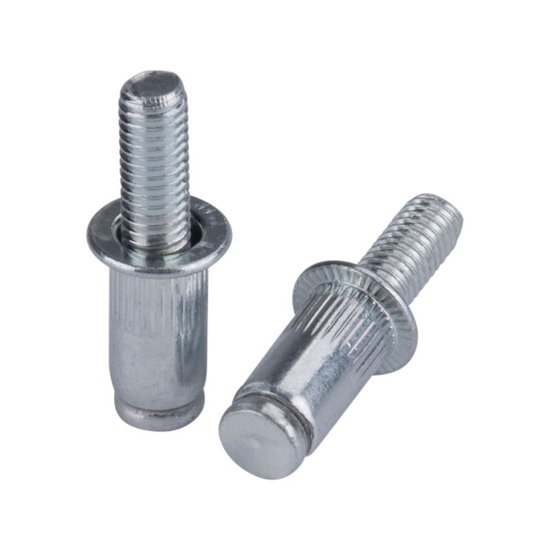 Casa si Gradina - Constructii - Scule electrice si accesorii - Seturi si accesorii pentru gaurit si insurubat - Set 50 de nituri din otel, M5x10mm, FORTUM, 477067 - Infinity.ro