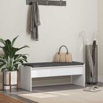 Casa si Gradina - Mobilier - Organizare si depozitare - Bancute - Banca pentru hol cu perna Alb 103 x 38 x 40 cm - Infinity.ro