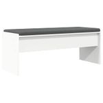 Casa si Gradina - Mobilier - Organizare si depozitare - Bancute - Banca pentru hol cu perna Alb 103 x 38 x 40 cm - Infinity.ro