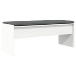 Casa si Gradina - Mobilier - Organizare si depozitare - Bancute - Banca pentru hol cu perna Alb 103 x 38 x 40 cm - Infinity.ro