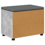 Casa si Gradina - Mobilier - Organizare si depozitare - Bancute - Banca pentru hol cu perna Simplu Gri din beton 60 x 38 x 46 cm - Infinity.ro