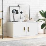 Casa si Gradina - Mobilier - Dulapuri si sifoniere - Dulapuri - Dulap de depozitare Alb 80 x 40 x 40 cm Otel Laminat la Rece - Infinity.ro