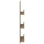 Casa si Gradina - Mobilier - Biblioteci si rafturi - Rafturi - Raft pentru reviste cu raft Stejar Artizanal 43 x 11 x 102 cm - Infinity.ro