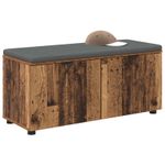 Casa si Gradina - Mobilier - Canapele si coltare - Banchete - Banca pentru hol cu perna cu usa Lemn vechi 100 x 38 x 46 cm - Infinity.ro