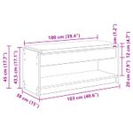 Casa si Gradina - Mobilier - Organizare si depozitare - Bancute - Banca pentru hol cu perna cu raft Gri Sonoma 103 x 38 x 45 cm - Infinity.ro