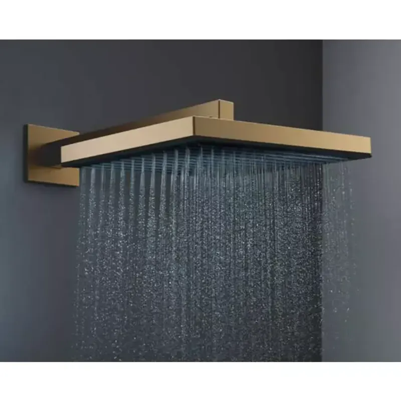Casa si Gradina - Sanitare - Cazi si cabine de dus - Coloane si seturi de dus - Palarie de dus bronz periat Hansgrohe Pulsify E 260 cu 1 jet - Infinity.ro
