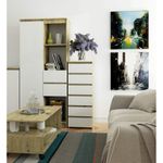 Casa si Gradina - Mobilier - Comode si corpuri - Comode - Comoda cu 6 sertare, PAL laminat 16 mm, 40x35x109 cm, stejar artisan si alb - Infinity.ro