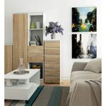 Casa si Gradina - Mobilier - Comode si corpuri - Comode - Comoda cu 6 sertare, PAL laminat 16 mm, 40x35x109 cm, alb si stejar sonoma - Infinity.ro