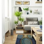 Casa si Gradina - Mobilier - Comode si corpuri - Noptiere - Noptiera cu 1 sertar, PAL laminat 16mm, 40x35x40 cm, stejar sonoma si alb - Infinity.ro