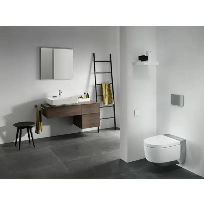 Casa si Gradina - Sanitare - Lavoar baie si accesorii - Lavoare si piedestale - Lavoar pe blat Geberit Variform dreptunghiular cu preaplin 60x45 cm - Infinity.ro