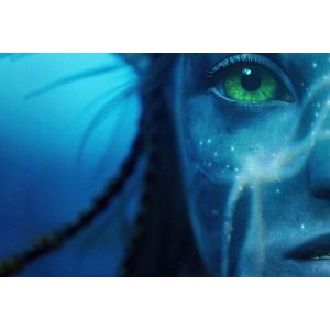 Carti si Birotica - Papetarie - Afise si stickere - Infinity.ro