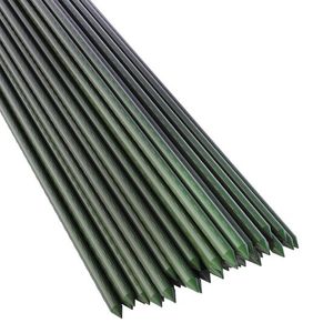 Casa si Gradina - Gradina si terasa - Mobilier exterior - Infinity.ro