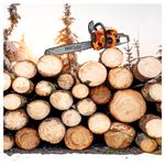 Casa si Gradina - Constructii - Scule electrice si accesorii - Fierastraie electrice - Ferastrau cu Lant pe Benzina 5,9CP + Accesorii, KD10613 - Infinity.ro