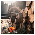 Casa si Gradina - Constructii - Scule electrice si accesorii - Fierastraie electrice - Ferastrau cu Lant pe Benzina 5,9CP + Accesorii, KD10613 - Infinity.ro