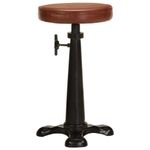 Casa si Gradina - Mobilier - Scaune si fotolii - Scaune - Scaune de bar, 2 buc., maro, piele naturala si fonta - Infinity.ro
