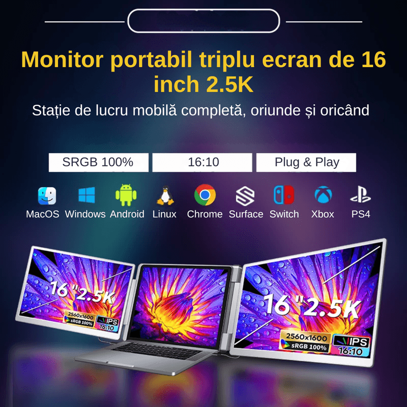 PC, gaming si accesorii - Desktop PC & monitoare - Monitoare - Extensie 2 Ecrane pentru Laptop, 2×16inch , IPS, 2560×1600, sRGB 100% - Infinity.ro