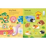 Carti si Birotica - Carti - Carti pentru copii - Carti pentru bebelusi - First Sticker Book Pets - Infinity.ro