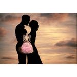 Market - Cadouri - Flori si aranjamente - Inger cu 5 trandafiri eterni sub cupola de sticla, cadou romantic pentru iubita, sotie, mama, valentine’s day, roz - Infinity.ro