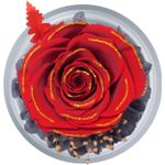 Market - Cadouri - Flori si aranjamente - Inger cu trandafir criogenic sub cupola de sticla, cadou romantic pentru iubita, sotie, mama, valentine’s day, rosu - Infinity.ro