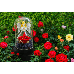 Inger cu trandafir criogenic sub cupola de sticla, cadou romantic pentru iubita, sotie, mama, valentine’s day, rosu