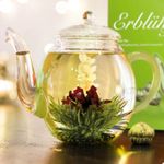Market - Cafea si ceaiuri - Ceaiuri - Set cadou ceai infloritor Creano cu ceainic sticla 500 ml, 6 sortimente ceai verde fructat - Infinity.ro