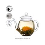 Casa si Gradina - Bucatarie si vesela - Vase pentru gatit - Ceainice si infuzoare - Ceainic din sticla Creano cu capac, 500 ml, rezistent la caldura, turnare fara picurare - Infinity.ro