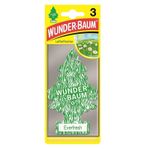 Auto si Moto - Intretinere auto - Odorizante auto - [3-pack ] Odorizant auto Everfresh - Infinity.ro