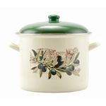 Casa si Gradina - Bucatarie si vesela - Vase pentru gatit - Oale si cratite - Oala emailata Oliva 5,2 L, 20 cm, cu capac - Infinity.ro