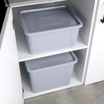 Casa si Gradina - Mobilier - Organizare si depozitare - Cutii depozitare - Containerul de depozitare cu capac 30 l, gri deschis - Infinity.ro