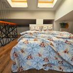 Casa si Gradina - Textile si covoare - Lenjerii de pat - Seturi de lenjerie - Lenjerie de pat 4 piese, 2 persoane, tesatura clasica neteda, 100% bumbac, decor floral - 14 - Infinity.ro