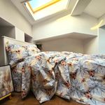 Casa si Gradina - Textile si covoare - Lenjerii de pat - Seturi de lenjerie - Lenjerie de pat 4 piese, 2 persoane, tesatura clasica neteda, 100% bumbac, decor floral - 14 - Infinity.ro