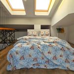 Casa si Gradina - Textile si covoare - Lenjerii de pat - Seturi de lenjerie - Lenjerie de pat 4 piese, 2 persoane, tesatura clasica neteda, 100% bumbac, decor floral - 14 - Infinity.ro