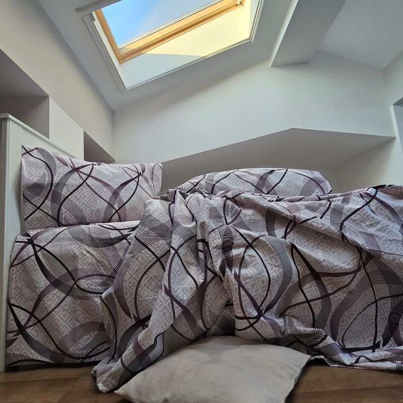 Casa si Gradina - Textile si covoare - Lenjerii de pat - Seturi de lenjerie - Lenjerie de pat 4 piese, 2 persoane, tesatura clasica neteda, 100% bumbac, decor floral - 26 - Infinity.ro