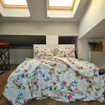 Casa si Gradina - Textile si covoare - Lenjerii de pat - Seturi de lenjerie - Lenjerie de pat 4 piese, 2 persoane, tesatura clasica neteda, 100% bumbac, decor fluturi - 11 - Infinity.ro