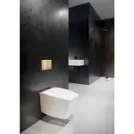 Casa si Gradina - Sanitare - Obiecte sanitare - Accesorii vase de toaleta - Clapeta de actionare Alca Flat FUN-BRASS alama - Infinity.ro