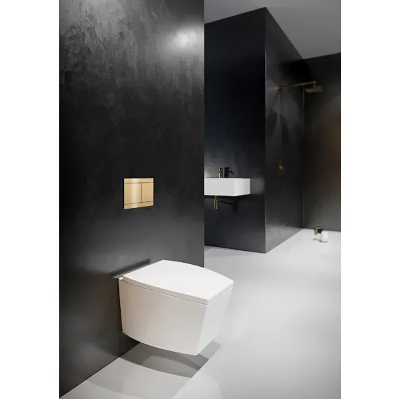 Casa si Gradina - Sanitare - Obiecte sanitare - Accesorii vase de toaleta - Clapeta de actionare Alca Flat FUN-BRASS alama - Infinity.ro