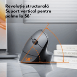 PC, gaming si accesorii - Periferice PC - Mouse - Mouse Vertical Wireless Ergonomic, QOVA®, Conectare prin Bluetooth 5.0 & USB 2.4GHz, Silentios, 2400 DPI Reglabil - Infinity.ro