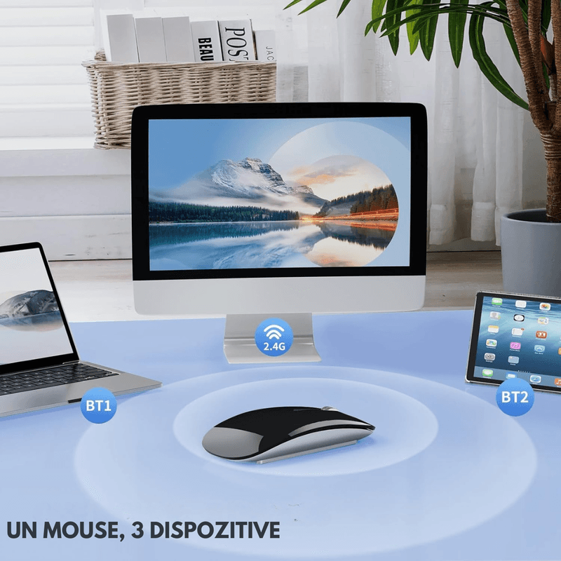 PC, gaming si accesorii - Periferice PC - Mouse - Mouse Wireless QOVA®, Dual Mode Bluetooth 5.1 & 2.4GHz, Reincarcabil USB-C, Click Silentios, DPI Reglabil 1600 max - Infinity.ro