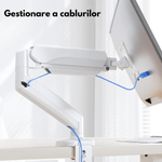 PC, gaming si accesorii - Desktop PC & monitoare - Accesorii monitoare - Suport Monitor, pentru Birou, Multifunctional cu Brat Reglabil, Suport prindere inclus, Compatibil cu Ecrane de 13-32" - Infinity.ro