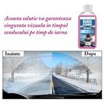 Auto si Moto - Intretinere auto - Produse curatare auto - Tratament Pentru Geamurile Auto, , Eficienta Pana la -40 Grade, Protectie Indelungata, Anti-inghet, 100 ML - Infinity.ro