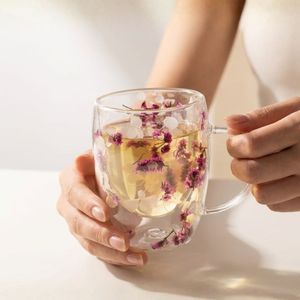 Cana cu insertie de flori uscate roz, hortensie si limonium, pereti dubli, sticla borosilicata, 350 ml, Aurora Bloom