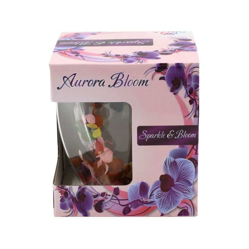 Casa si Gradina - Bucatarie si vesela - Cani si pahare - Cani si cesti - Pahar cu insertie de flori uscate multicolor, hortensie, pereti dubli, sticla borosilicata, 250 ml, Aurora Bloom - Infinity.ro