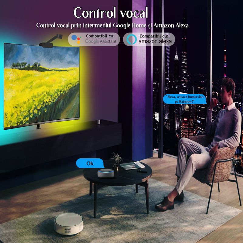 Casa si Gradina - Corpuri si surse de iluminat - Benzi LED - Banda LED RGBIC inteligenta cu Sincronizare, Camera HD cu Senzor de culoare Control prin Aplicatie TV 55-65 inch - Infinity.ro