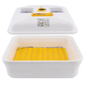 Casa si Gradina - Gradinarit si plante - Produse zootehnice - Infinity.ro