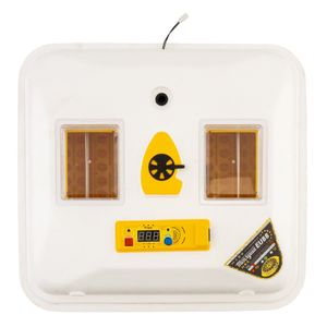 Casa si Gradina - Gradinarit si plante - Produse zootehnice - Infinity.ro