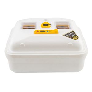 Casa si Gradina - Gradinarit si plante - Produse zootehnice - Infinity.ro