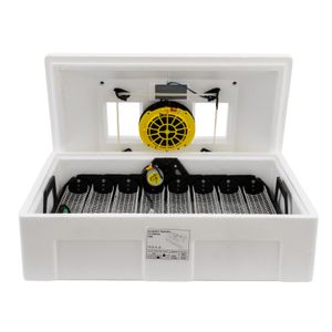 Casa si Gradina - Gradinarit si plante - Produse zootehnice - Infinity.ro