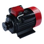 Casa si Gradina - Gradinarit si plante - Instalatii si accesorii pentru irigatii - Aparate pentru stropit gradina - Motor electric 1.3kW, 1500 rpm, YL802-2 - Infinity.ro