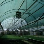 Casa si Gradina - Gradinarit si plante - Sere si solarii - Plasa umbrire 40%, verde, 2 m inaltime x 100 m lungime - Infinity.ro