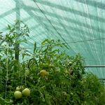 Casa si Gradina - Gradinarit si plante - Sere si solarii - Plasa umbrire 35%, verde, 5 m inaltime x 100 m lungime - Infinity.ro